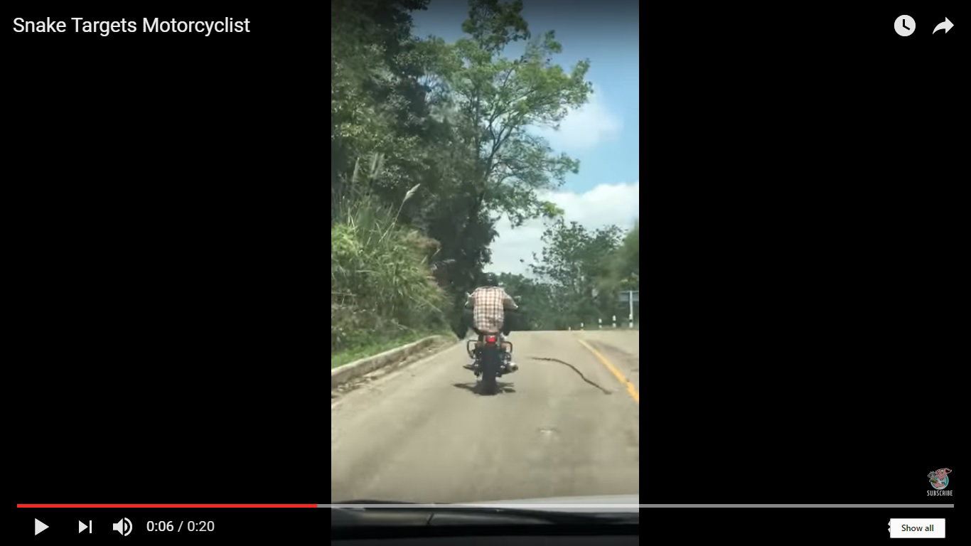 Devon and Cornwall releases fatal accident footage